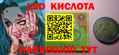 дмт Бийск