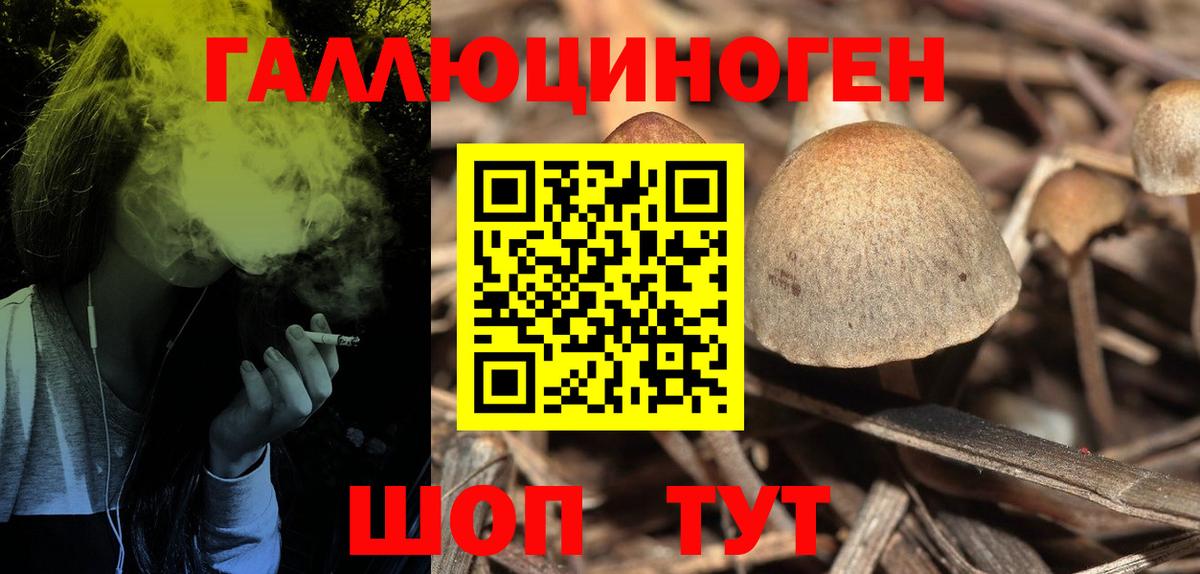 закладка  Вход с VPN  Губаха  Псилоцибиновые грибы Psilocybine cubensis 