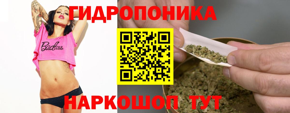 Бошки Шишки планчик  Бошки Шишки MAZAR  Вход с VPN  Губаха 
