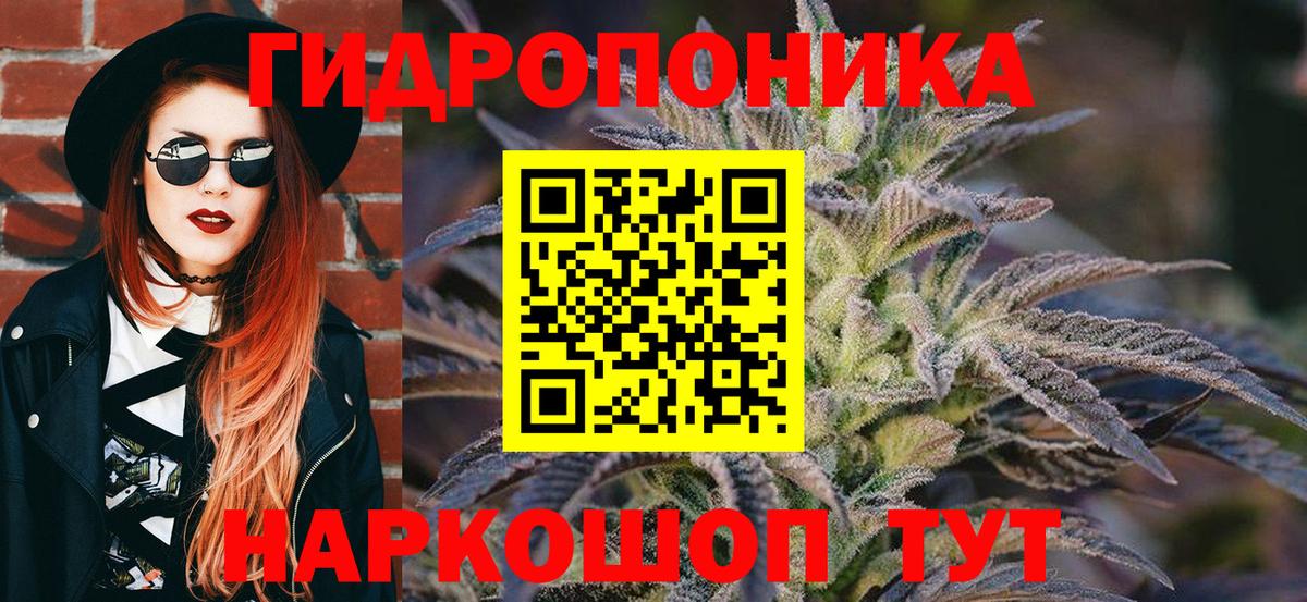 Бошки марихуана план Губаха